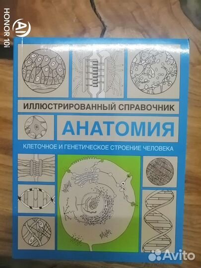 Клеточное и генетическое строение человека