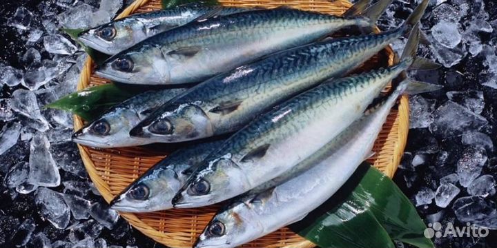 Продукты питания