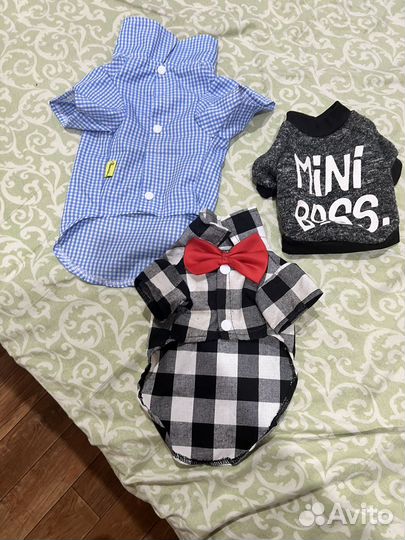 Одежда для собак мелких пород