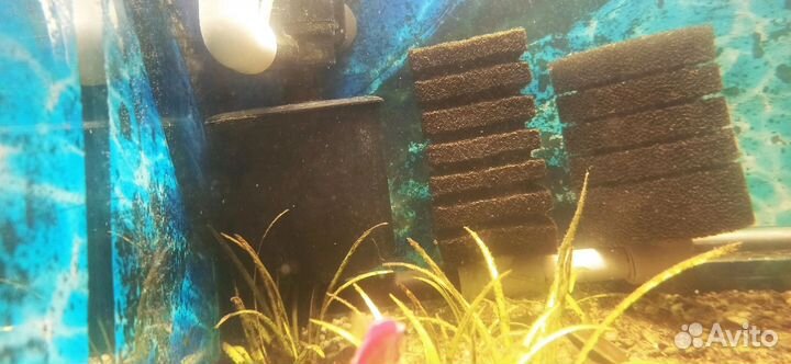 Аквариум