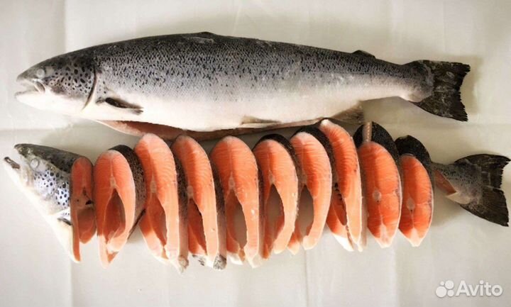 Семга свежемороженая 6-7кг Чили