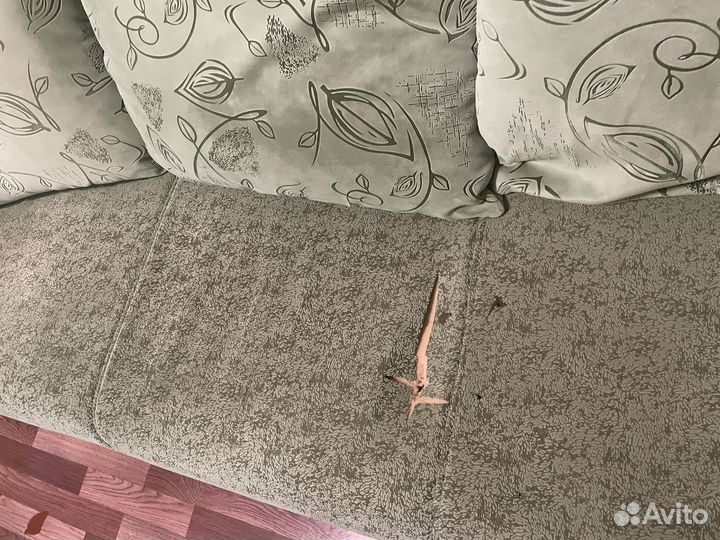 Отдам бесплатно диван