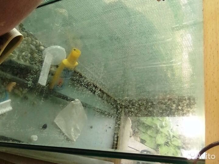Продам террариум