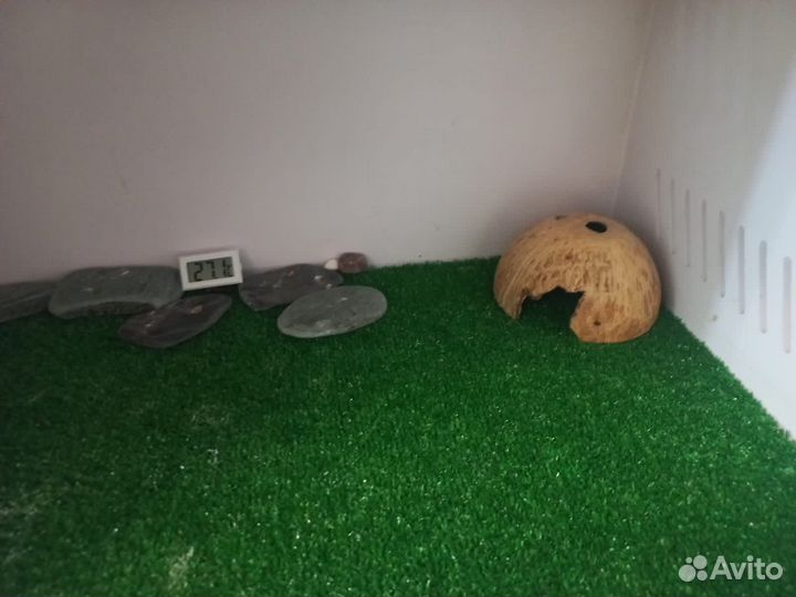 Террариум для рептилий бу