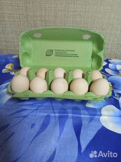 Деревенские яйца