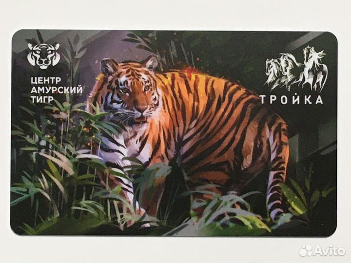 Центр Амурский тигр Тройка карта метро