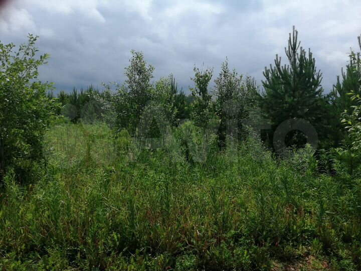 Участок 15 сот. (СНТ, ДНП)