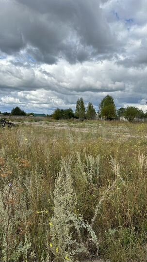 Участок 69 сот. (промназначения)