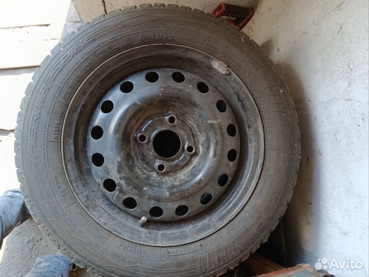 Accelera Accelera 175/65 R14 82