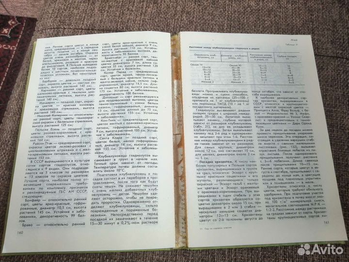 Д. Хаас, З. Кавецки. Год на садовом участке