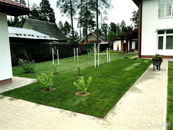 Рулонный газон