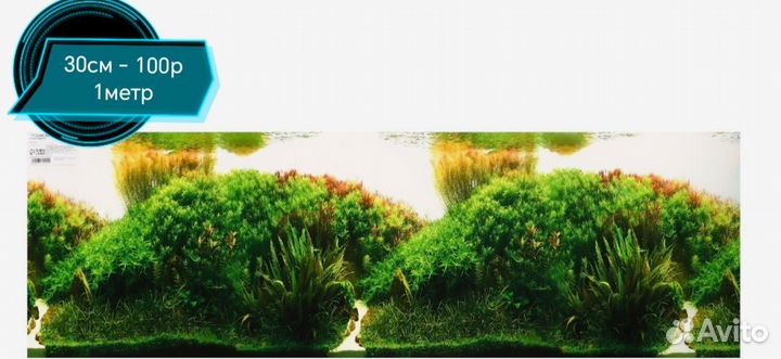 Задний фон для аквариума