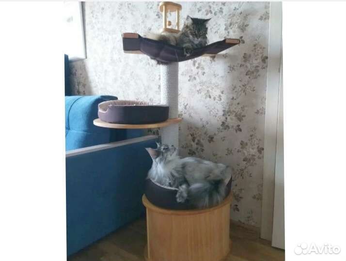 Игровой комплекс с домиком и когтеточкой