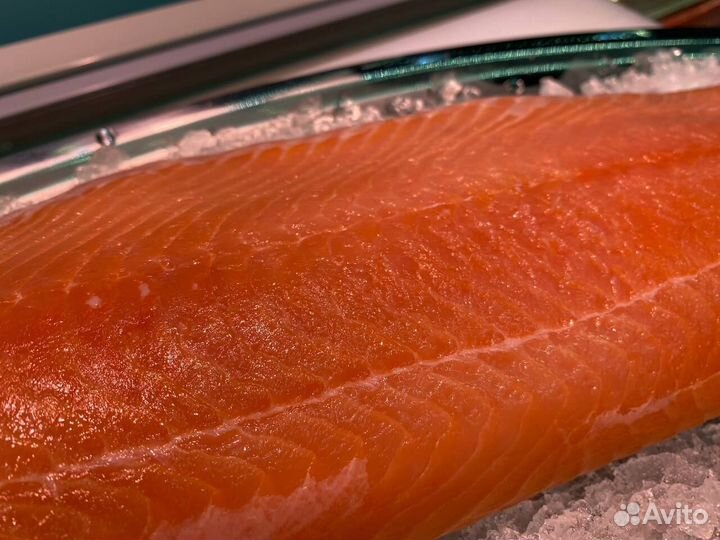 Лосось филе слабосолённый. Доставка. Опт