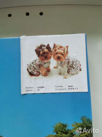 Картина по номерам новая