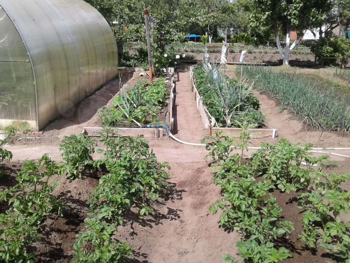 Дача 20 м² на участке 6 сот.