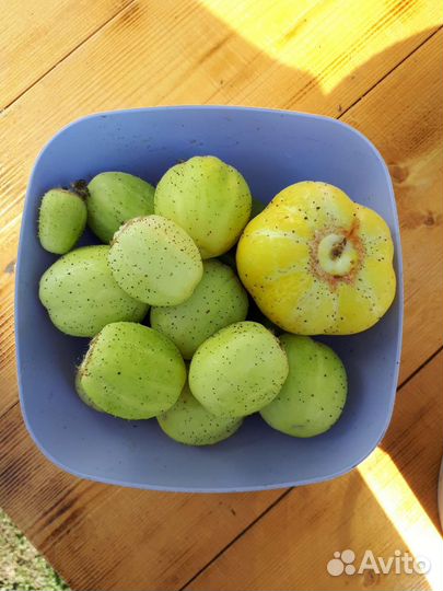 Огурец -лимон хрустальное яблоко, семена