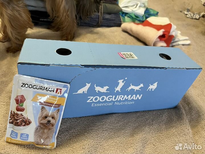 Корм для собак