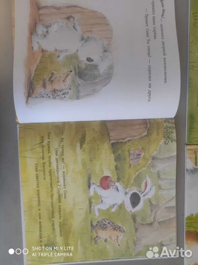 Зайчик сева книги
