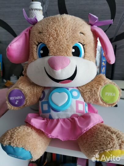 Сестричка ученого щенка