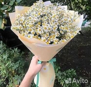 Цветы ромашки. Букеты ромашек. Цветы доставка