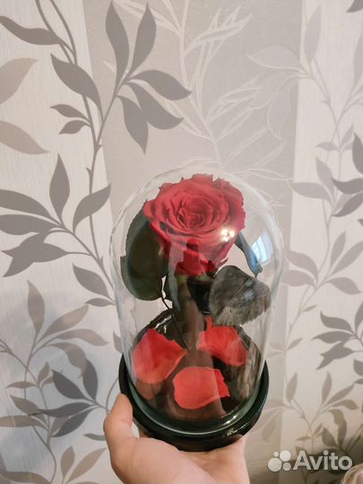 Живая роза в колбе Пенза