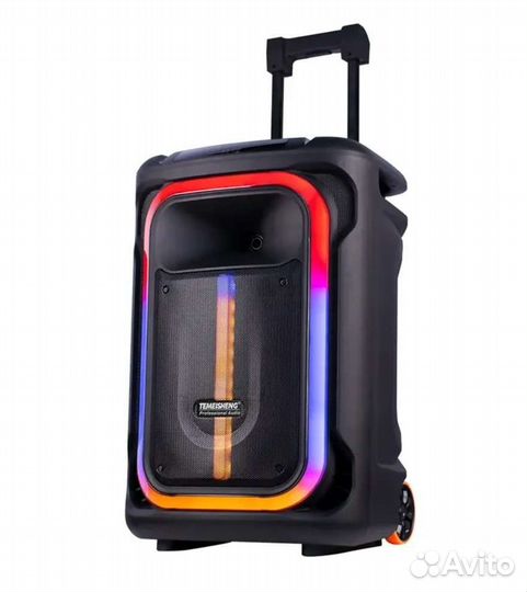 Караоке комбоусилитель Temeisheng TMS1515-2