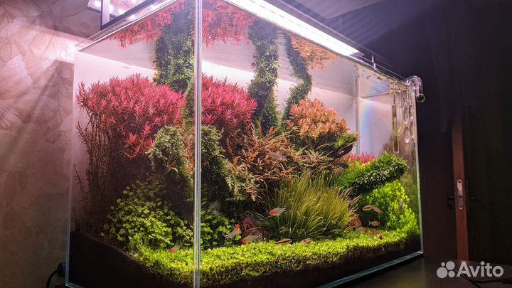 Продам аквариум с комплектующими