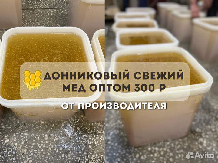 Донниковый свежий мед