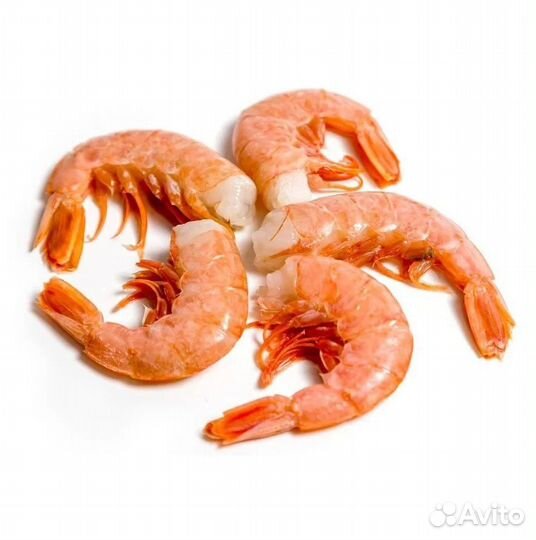 Лангустины креветки C1 Аргентина