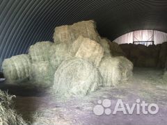 Сено в рулонах и брикетах
