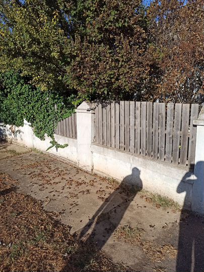 Дом 67,8 м² на участке 6 сот.