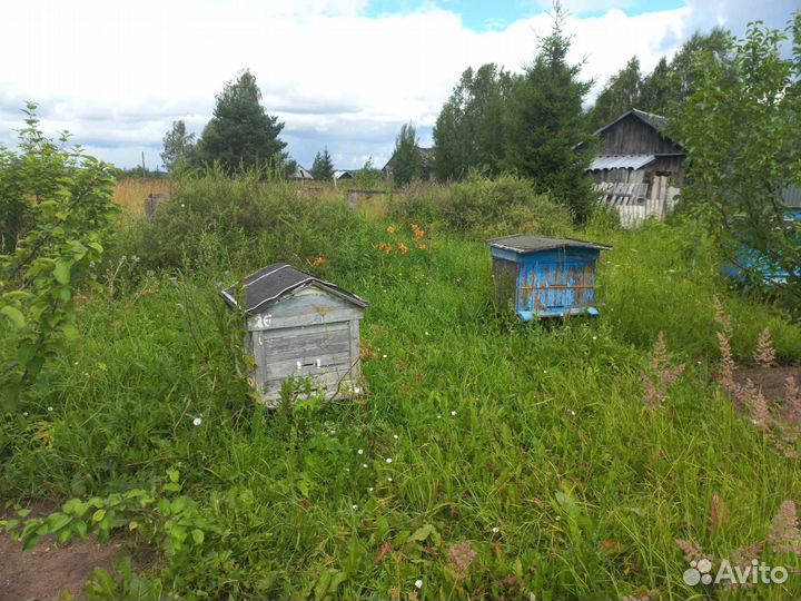 Продам ульи для пчел