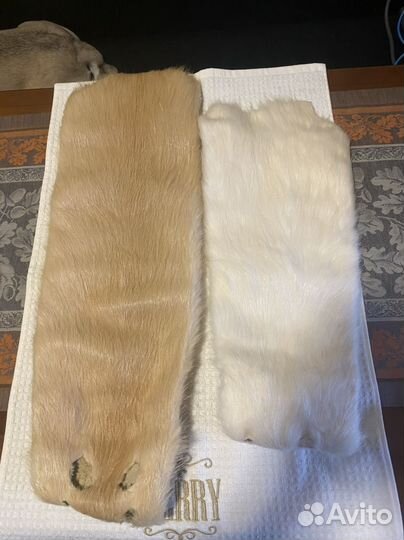 Шкурка животного нутрия
