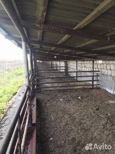 Мясомолочнач ферма