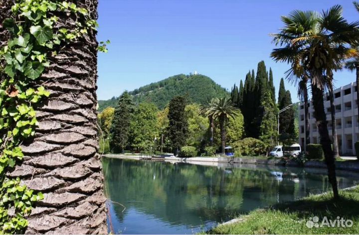 Тур поездка Абхазия завтрак, ужин на 6 нч