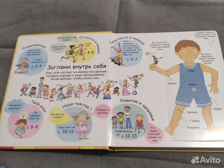 Книга волшебные створки робинс