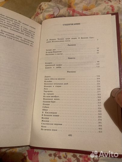 В.Гроссман. Несколько печальных дней