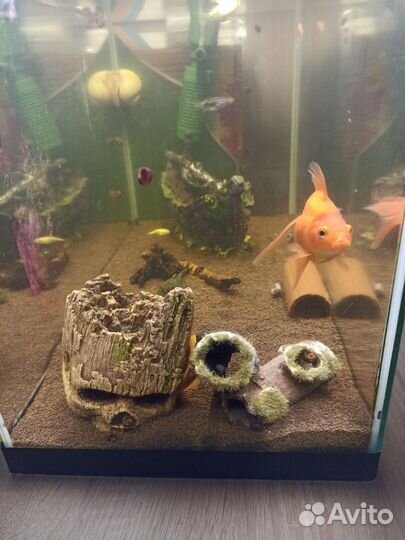 Аквариум 60-65 л