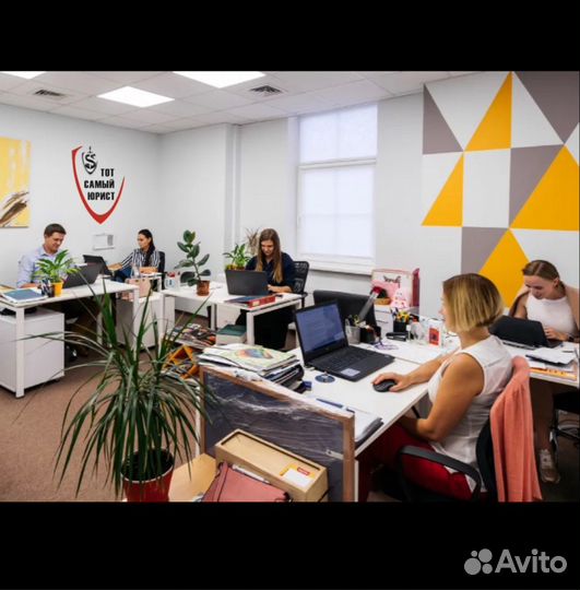 БАНКРОТСТВО физических лиц, Юрист