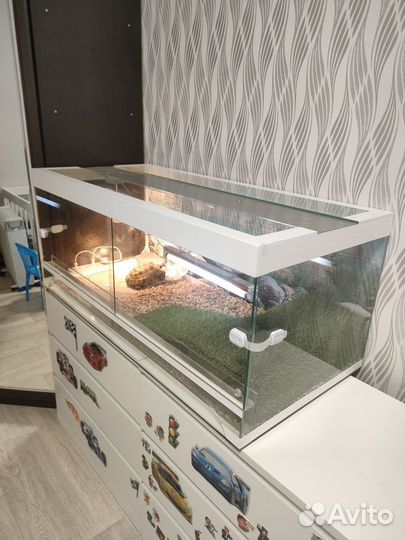 Террариум с черепахой