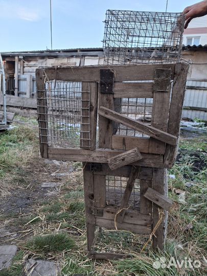 Клетки для кур и кроликов