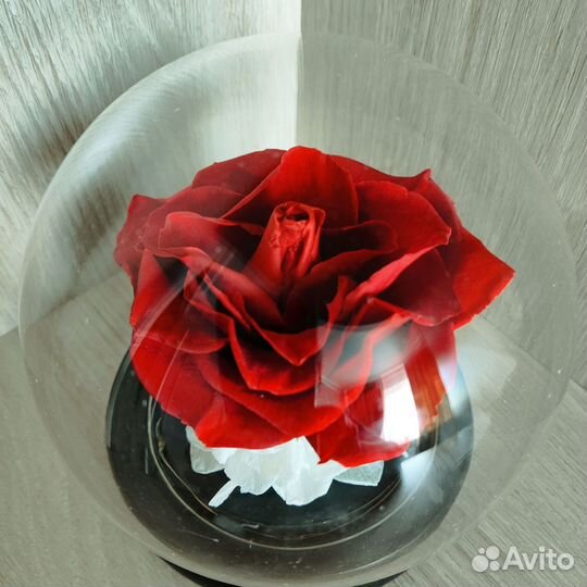 Стабилизированные розы в колбе