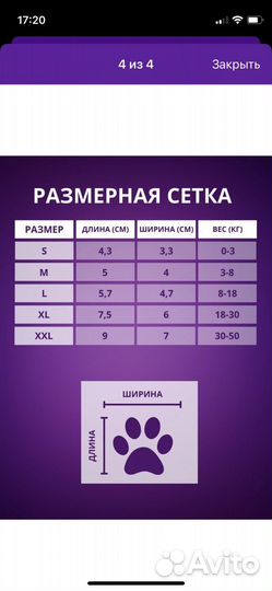 Ботинки для собак