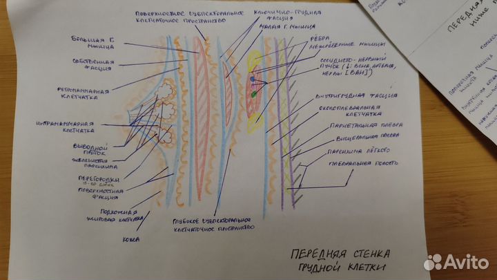 Напишу/перепечатаю лекции, конспекты