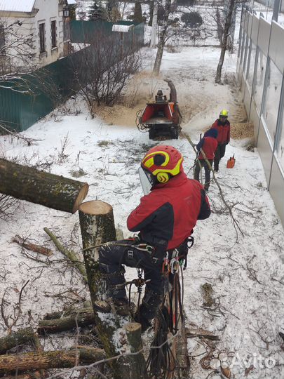 Валка деревьев, обрезка, спил, удаление пней
