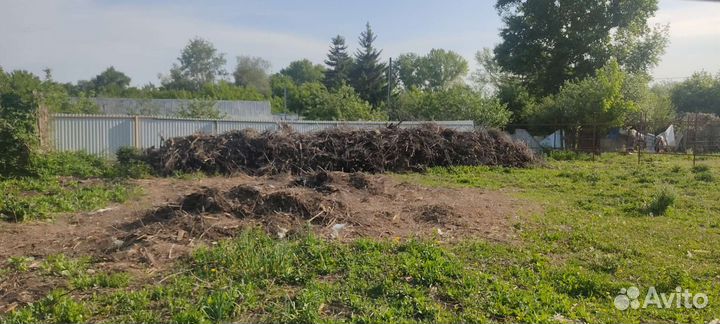 Ветки деревьев под дрова бесплатно самовывоз