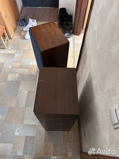 Колонки радиотехника s90D