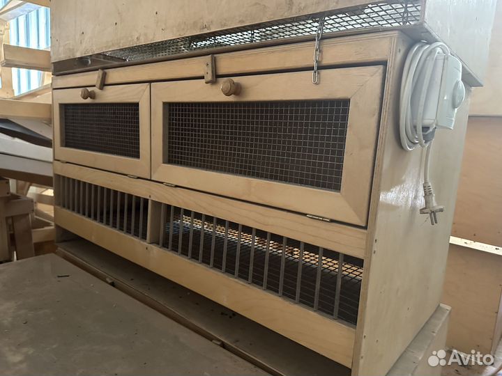 Брудер для цыплят