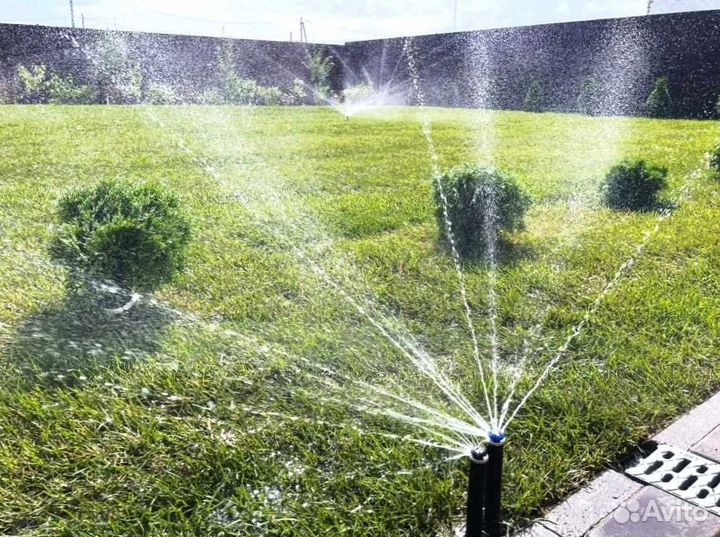 Газон. Рулонный газон